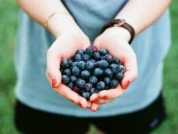 person showing blue berries
